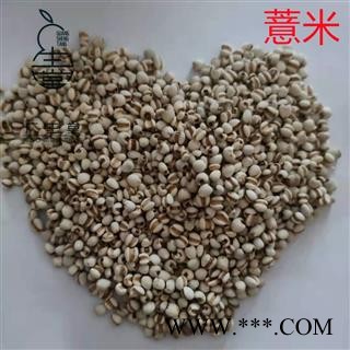 产地直销薏米 国产小粒薏苡仁 无硫磺 足干 无虫蛀 产地 贵州省图3