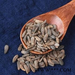 大力子 精选牛蒡子 秦岭野生无硫500g【买1送1结束】图2