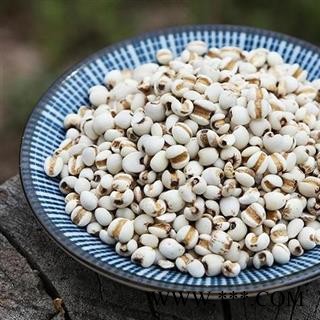 小薏米仁 秦岭特级 薏苡 薏仁手工分拣日晒500g 另有炒薏仁图2