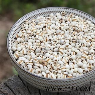 小薏米仁 秦岭特级 薏苡 薏仁手工分拣日晒500g 另有炒薏仁图3