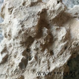 姜石  料姜石 裂姜石 蛎石 礓砺 统 产地 甘肃省图2