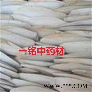 海螵蛸 海螵蛸选货  大个子 产地 广西壮族自治区图2