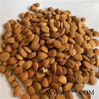 苦杏仁 苦杏仁统货 产地 河北省 道地药材 发货快 支持小包装拿样 7天无理由退货图4