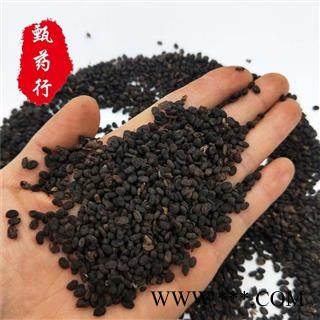 补骨脂 统货饱满无硫 一手货源批发1公斤装 产地云南 甄选药材行 为你选真选好药材图3