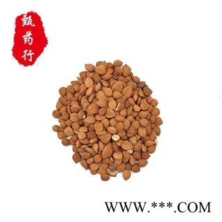杏仁 苦杏仁无硫选货 一手货源批发1公斤起 产地直销 产地河北 甄选药材行 为你真选药材图3