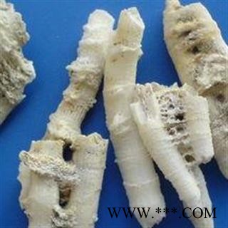 鹅管石 统货 产地 广西壮族自治区 凯捷中药图3