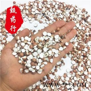 芡实 对半中大颗粒10个厘 一手货源批发 产地江西 甄选药材行 甄药行图3