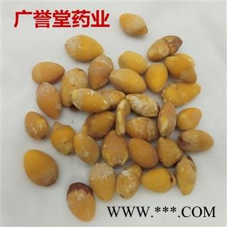 白果 白果仁 选 江苏 产地 江苏省图4
