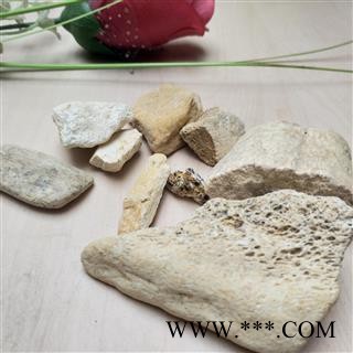 龙骨 煅龙骨 净货 产地 甘肃省图2