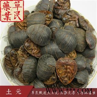 草民甄选大土元 瘪肚无杂 干净地鳖虫 实物拍摄 专业批发量大从优图3