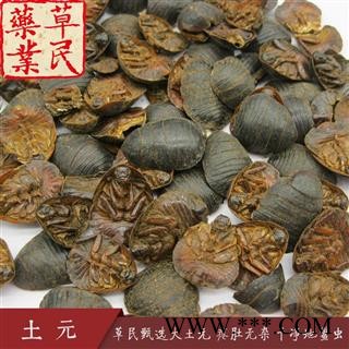 草民甄选大土元 瘪肚无杂 干净地鳖虫 实物拍摄 专业批发量大从优图4