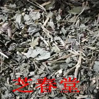 白花丹 冷背中药材 白花丹 白雪花 白皂药 百花丹 一见消药用正品图2