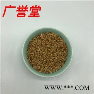 柏子仁 统 产地 山东省图3