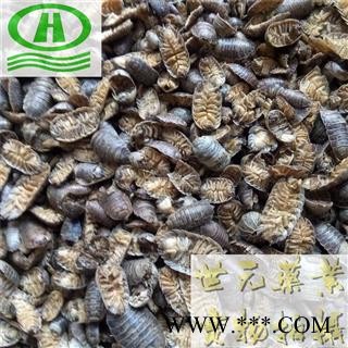 世元药业 鼠妇 正品 筛选 实物图片 米汤虫 潮虫子 潮虫 团子虫 地虱婆 地虱子 鞋板虫 皮板虫图2