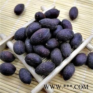 蒲葵子 秦岭优质葵树子 蒲扇子 日晒500g图2