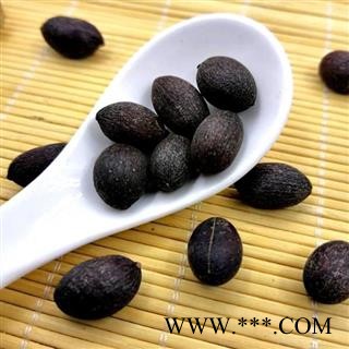 蒲葵子 秦岭优质葵树子 蒲扇子 日晒500g图3