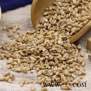 秦岭农家正品浮小麦 小麦瘪子散装另有甘草大枣500克图3