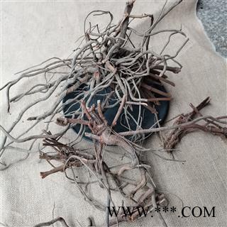 白花丹根 纯野生货正品保证质量7天无理由退货退款 中药材批发 丽丽药业图4
