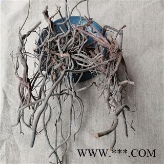 白花丹根 纯野生货正品保证质量7天无理由退货退款 中药材批发 丽丽药业图2