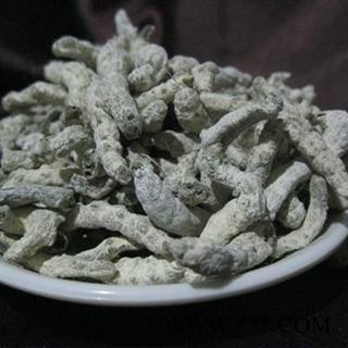 草民甄选白僵蚕 川产天虫 玻璃茬 纯净选货 正品含量高图3