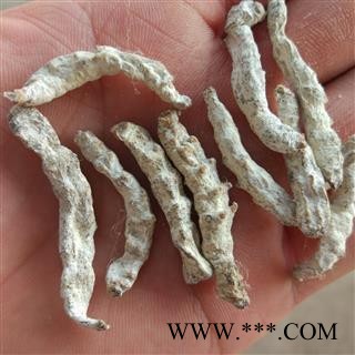 僵蚕 僵蚕 正品僵蚕统货 产地 四川省 产地 四川省图2