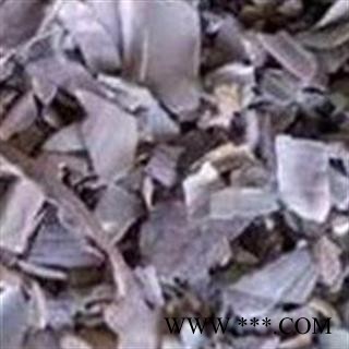 石决明 石决明统片  产地 山东省图2