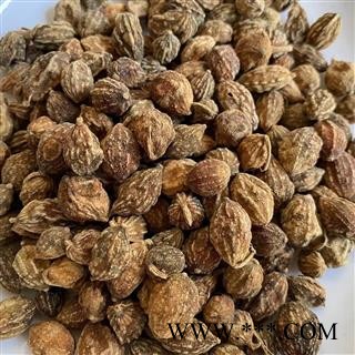 益智仁 益智统货 产地 广西壮族自治区 道地药材 发货快 支持小包装拿样 7天无理由退货图2