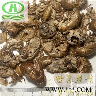 世元药业 蝉蜕 自然土无增重 虫蜕 知了壳 蝉退 蝉衣 蝉壳 蚱蟟皮 虫退 虫蛻图2
