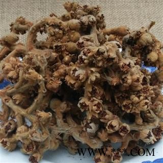 枇杷花 秦岭野生 掌柜自采日晒无500g另有枇杷叶 灸枇杷叶图3