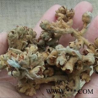 枇杷花 秦岭野生 掌柜自采日晒无500g另有枇杷叶 灸枇杷叶图4