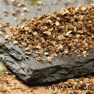 【买10送1】蛇床子 山民自捋 过筛无杂日晒【打折已结束】图2