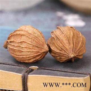 香砂仁 秦岭金沙仁 川砂仁 日晒无硫 500g图3