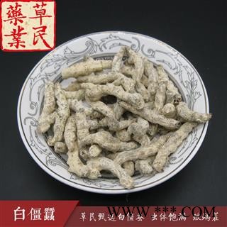 草民甄选白僵蚕 虫体饱满 玻璃茬 不掺假 正品天虫 专业批发 量大从优图3