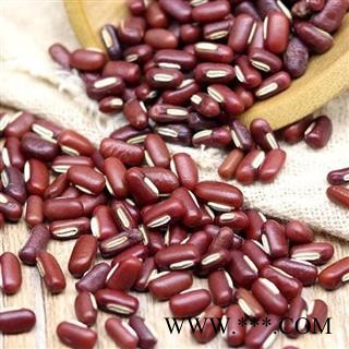 红小豆 秦岭农家优质赤小豆 手工采摘分拣日晒500g 另有绿豆 白扁豆 黄豆 薏仁等图2