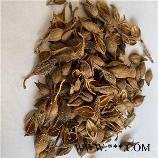 连翘 老翘（黄翘）统货 产地 山西省 道地药材 发货快 支持小包装拿样 7天无理由退货图3