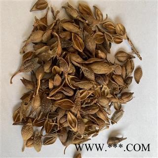 连翘 老翘（黄翘）统货 产地 山西省 道地药材 发货快 支持小包装拿样 7天无理由退货图4