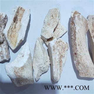 龙骨 新到龙骨块正品水洗龙骨块无假 产地 甘肃省图2