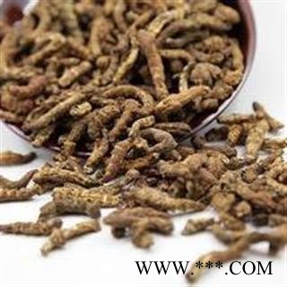 僵蚕 炒僵蚕统货 产地 广西壮族自治区图2