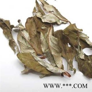 胡秃子叶 秃子 统 产地 江苏省图3