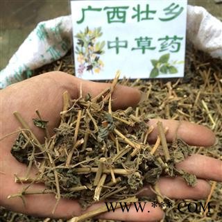 广西壮乡中草药 野生 白英 白毛藤 白草 毛千里光 毛风藤 产地 广西柳州图2