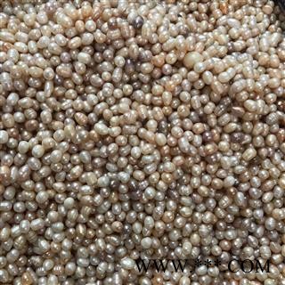 珍珠 选 产地 广东省湛江市雷州市图2