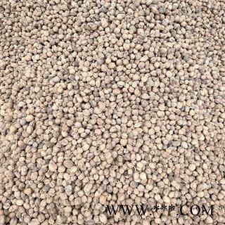 （包邮）特级阳春砂仁图2