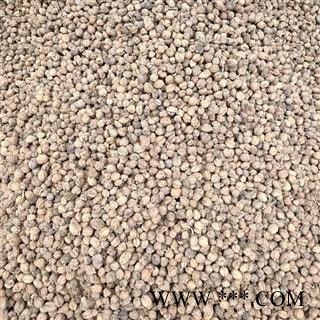 （包邮）特级阳春砂仁图4