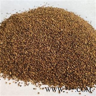 菟丝子 菟丝子水洗选货 产地 内蒙古自治区 道地药材 发货快 支持小包装拿样 7天无理由退货图3