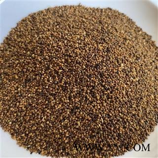 菟丝子 菟丝子水洗选货 产地 内蒙古自治区 道地药材 发货快 支持小包装拿样 7天无理由退货图1