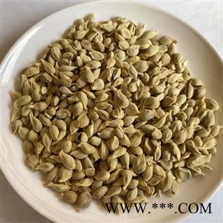 橘核 橘核 货干 颜色好 新货 产地 四川省 道地药材 发货快 支持小包装拿样 7天无理由退货图2