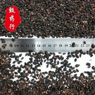 沙棘 颗粒饱满干净无硫统货 一手货源批发 产地内蒙古 甄选药材行 为你真选好药材图2