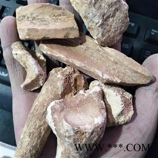 五花龙骨 实图拍摄新货正品水洗锻龙骨，自己加工地道药材炒锻龙骨 产地 甘肃省图3