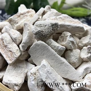 龙骨  正品水洗龙骨 产地 宁夏回族自治区图2