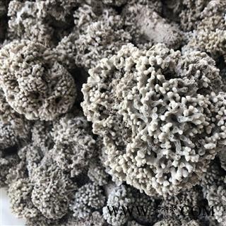 海浮石  海浮石花 白浮石 水泡石  产地 辽宁省图3